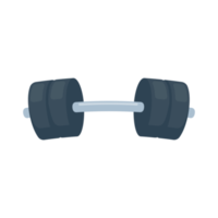 manubri fitness in acciaio con pesi per esercizi di sollevamento per costruire muscoli. png