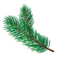 Pine tree branch icon, realistic style vector
