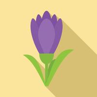 Blossom crocus icon, flat style vector