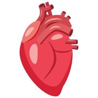 icono del corazón humano, estilo de dibujos animados vector