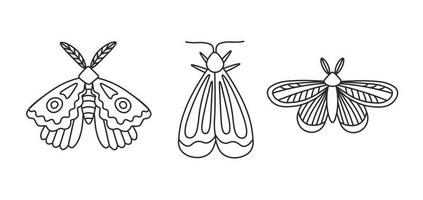 Butterfly and moth Doodle Vector Set