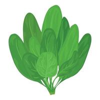 Spinach branch icon, cartoon style vector