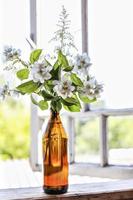 A bottle with blooming jasmine branches by the window in a rustic house photo