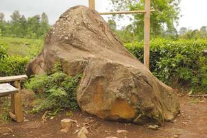 enfoque selectivo de piedras grandes que no son redondas foto