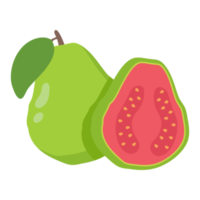 groen guava zoet fruit met hoog vitamine c voor Gezondheid voor vegetariërs. png