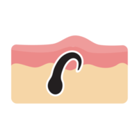 Hair icon. Hair on human skin Hair care concept Solve the problem of hair loss. png