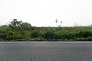 vista horizontal de la mañana de la carretera de asfalto en tailandia. árboles verdes frescos y fondo de hierba. bajo los cielos brumosos de la niebla blanca de la mañana. foto