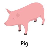 Pig icon, isometric style vector