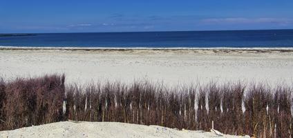 Heligoland - beach of island Dune photo