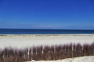 Heligoland - beach of island Dune photo