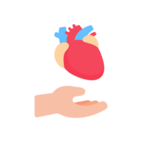 hand that supports internal organs The concept of organ donation for the treatment of patients png