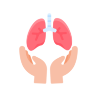 mão que apóia órgãos internos o conceito de doação de órgãos para o tratamento de pacientes png