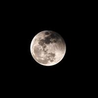 moon on the dark night  dark background photo