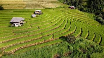 Aerial view of Rice terrace at Ban pa bong piang in Chiang mai Thailand photo