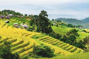 paisaje de terraza de arroz en ban pa bong piang en chiang mai tailandia foto