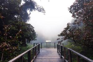 hermosa selva tropical en el sendero natural ang ka en el parque nacional doi inthanon, tailandia foto