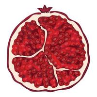 Half pomegranate icon, cartoon style vector
