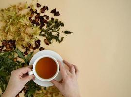 té de hierbas en una taza blanca para la belleza y la salud, hierbas secas, flores de tilo y fresas yacen alrededor. foto
