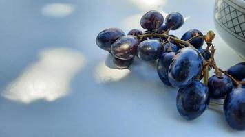 primer plano, uvas moradas en un tazón con tallo aislado sobre fondo blanco 04 foto