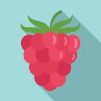 Raspberry icon, flat style vector