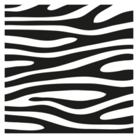 Black stripes on the skin of a zebra for decoration graphics png