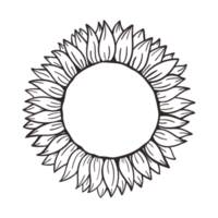 bloeiende gele zonnebloemen vol zonnebloempitten voor het versieren van welkomstkaarten png