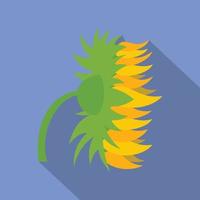 Garden sunflower icon, flat style vector
