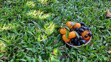 High angle, citrus fruits and grapes on green grass background. healthy fruit 06 photo