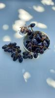 High angle, Purple grapes in bowl with stalk isolated on white background and shadow 01 photo