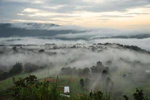 Green field, tree with the blue sky, fog and cloud in the morning photo