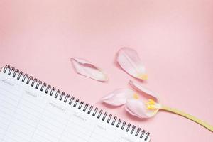 Pink tulip with open empty desk planner Flat lay photo