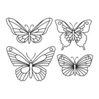 Butterfly line art, vector illustration