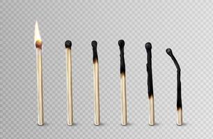 Stages of match burning from fire to burnt stick vector