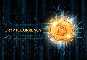 Bitcoin crypto currency banner or background vector