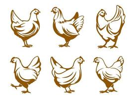 Hen icons, chicken farm and poultry meat symbols vector