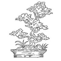 Print design illustration asian bonsai tree outline vector