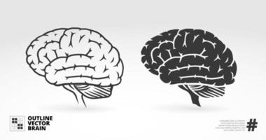 Vector graphic of  brain illustration
