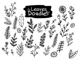 Vector graphic of leaves doodles