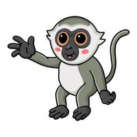 Cute little vervet monkey cartoon waving hand vector