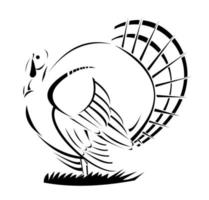 pavo salvaje vista lateral retro blanco y negro vector