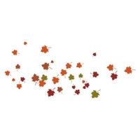 Autumn Leaf background vector