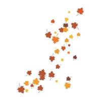 Autumn Leaf background vector