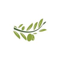 olive logo template vector