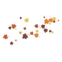 Autumn Leaf background vector