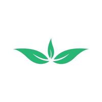 Green leaf logo vector