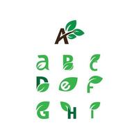 Collection of natural font green leaf vector