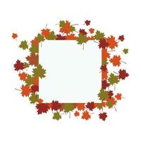 Autumn Leaf background vector