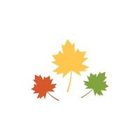 Autum Leaf vector