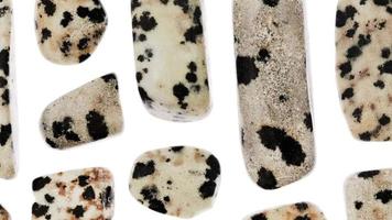 Dalmatian jasper rare jewel stones texture on white light isolated background. Moving right seamless loop backdrop. video