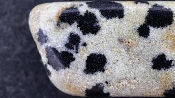 Dalmatian jasper jewel stone texture on black stone background. Macro closeup. Moving right seamless loop backdrop. video